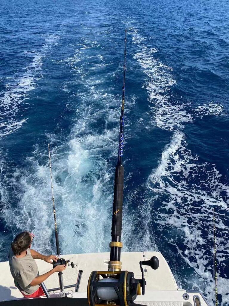 Topline Tackle Sea Fishing Trolling Rod 5'6 30 50 80 130lbs Big Game Rod  Nylon Butt 5+1 Roller Guide Tuna Boat Fishing Rods - AliExpress